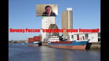 Украинский политолог: Сделка по зерну - признание того, что Россия контролирует Черное море