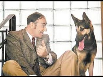 Все, что нажито непосильным трудом... И 40 кг золота...