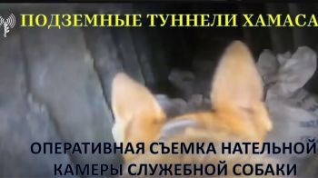 Оперативная съемка с камеры служебной собаки: Подземные туннели Хамаса