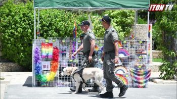 Иерусалим: Какой ценой полиция обеспечила безопасность на "параде гордости" в столице Израиля?