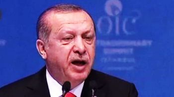 Кто "прищемил хвост" Султану Эрдогану?
