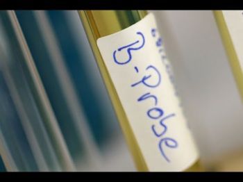 В "русской" моче - 100% политики и 100% спорта