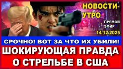 Шокирующая правда о стрельбе в США