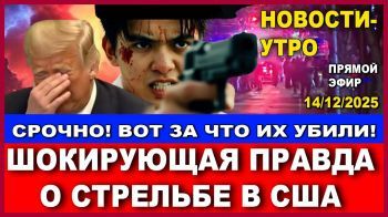 Шокирующая правда о стрельбе в США