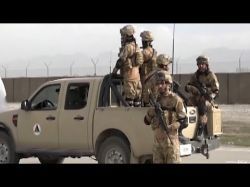 Афганские талибы не прочь поучаствовать в казахских разборках