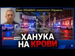 Евреи больше не в безопасности? Пора брать оружие в руки?