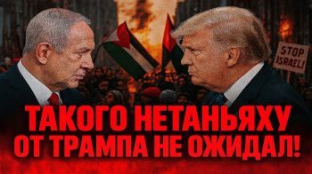 Израиль под давлением: бойкот, санкции и ультиматум от США