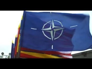 Как в НАТО усмиряют COVID-19