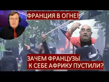 Беспорядки во Франции: Мультикультурность – наследие расизма?