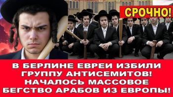 Началось массовое бегство мусульман из Европы! Евреи избили группу антисемитов в Берлине!