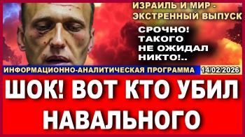 Стали известны подробности убийства Навального. Новости