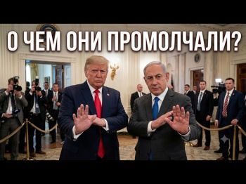 Тайны закрытых дверей: о чём на самом деле молчат Трамп и Нетаньяху?