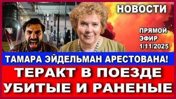Теракт в поезде - есть убитые и раненые. Тамара Эйдельман арестована! Новости дня. 2/11/25 #новости