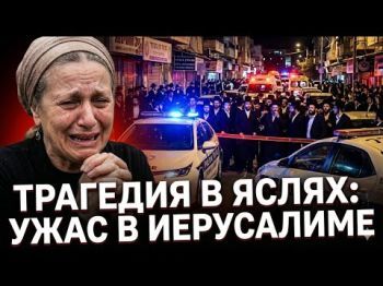 Смерть в яслях Иерусалима: Трагедия, которой можно было избежать?