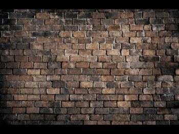 Жильё из казённой бумаги