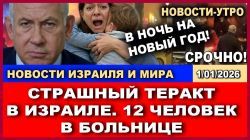Что случилось в новогоднюю ночь?